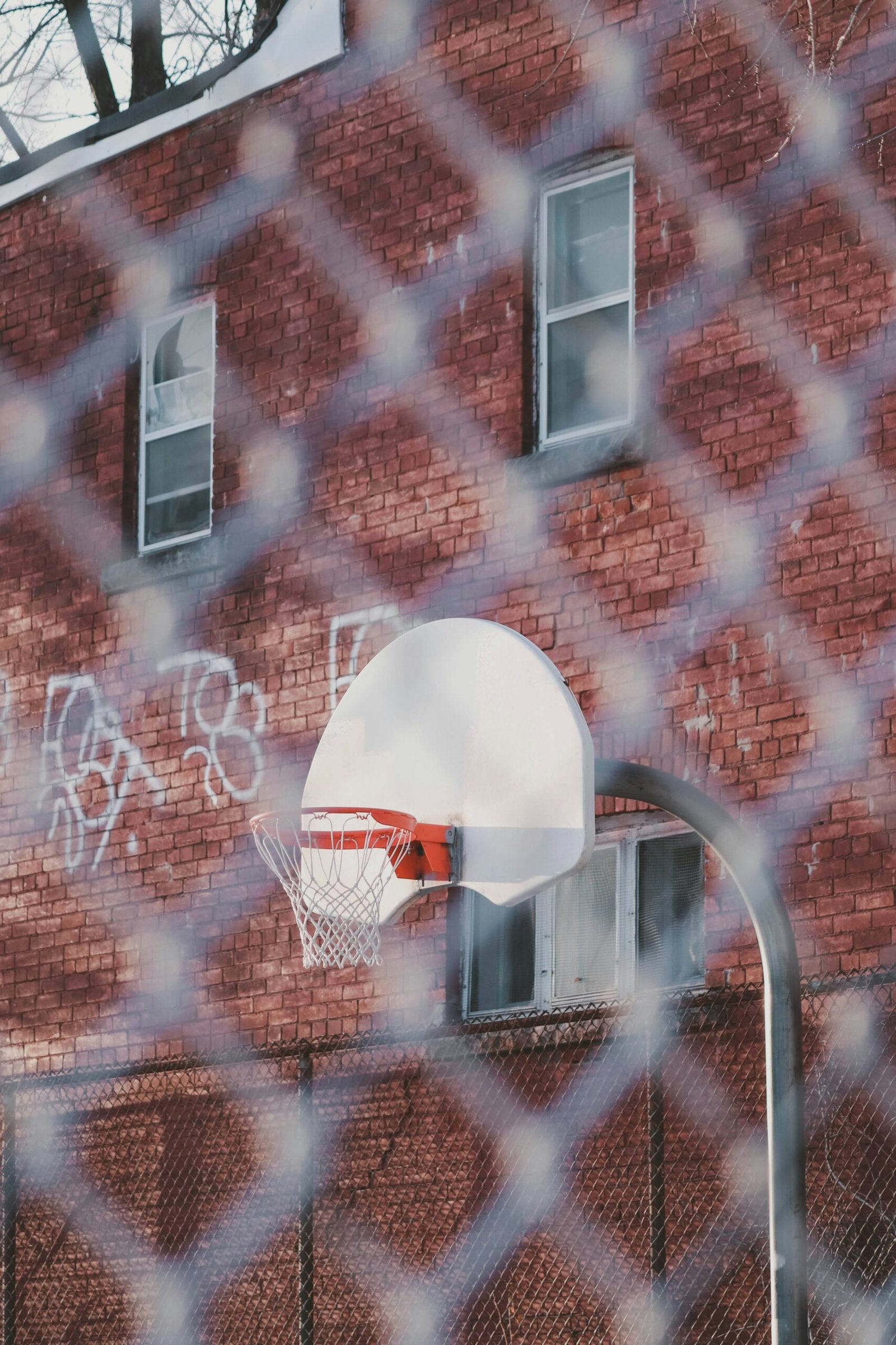 Toronto’s New WNBA Team: The Toronto Tempo News